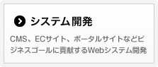 システム開発