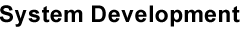 システム開発
