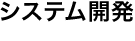 システム開発