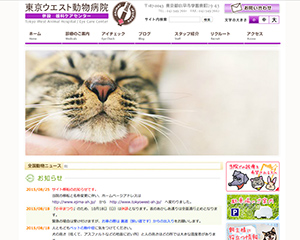 制作実績イメージ