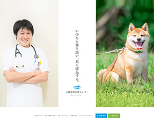 制作実績イメージ